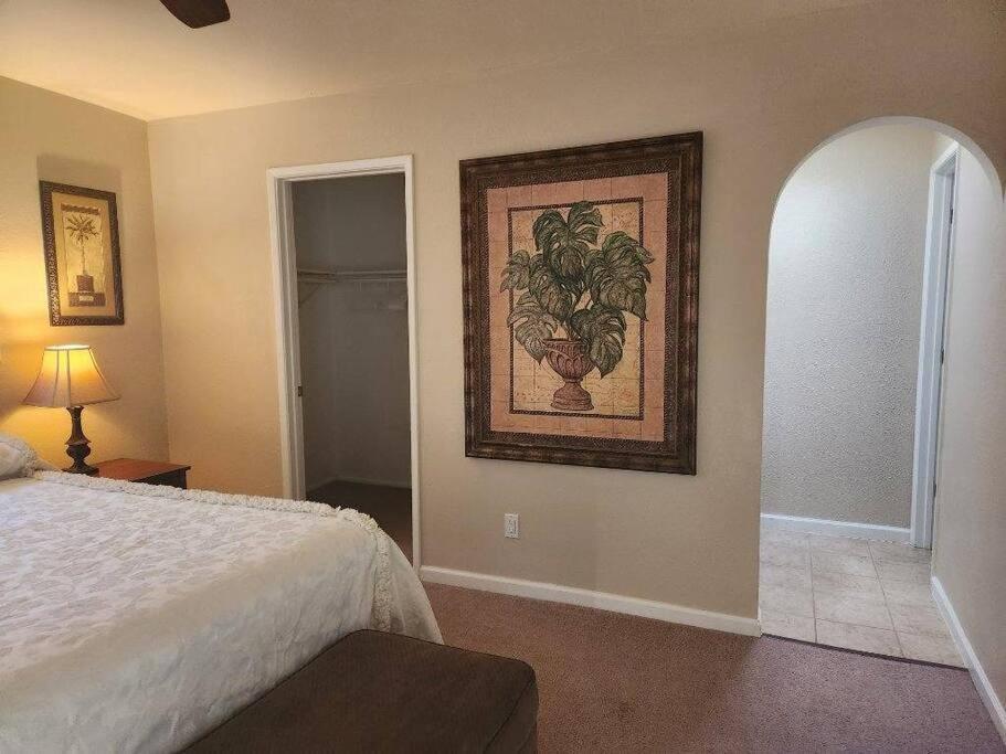 Southwestern Charm - Minutes From Everything 3/2 Sierra Vista Ngoại thất bức ảnh